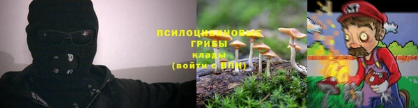 PSILOCYBIN Абинск