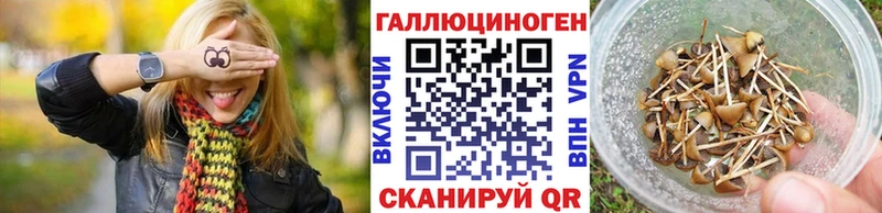 ссылка на мегу рабочий сайт как найти закладки Шебекино Галлюциногенные грибы Psilocybe