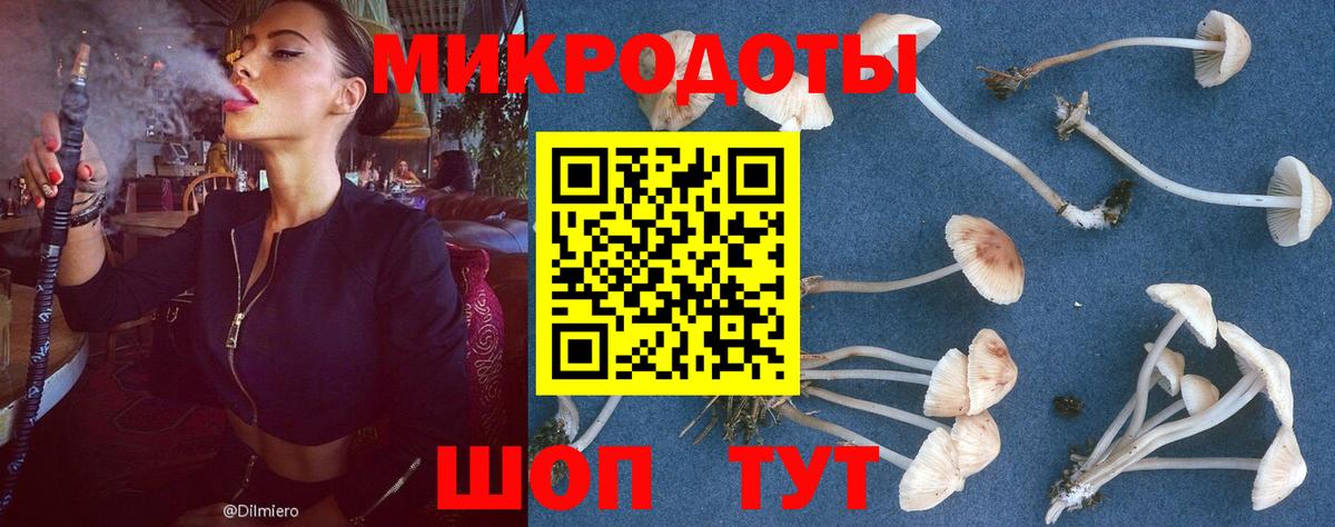 Галлюциногенные грибы MAGIC MUSHROOMS  Вход с VPN  Галлюциногенные грибы GOLDEN TEACHER  Шебекино 